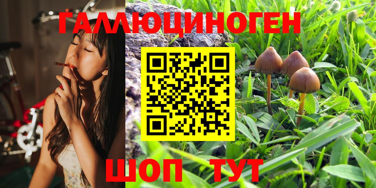 Псилоцибиновые грибы Magic Shrooms Ногинск